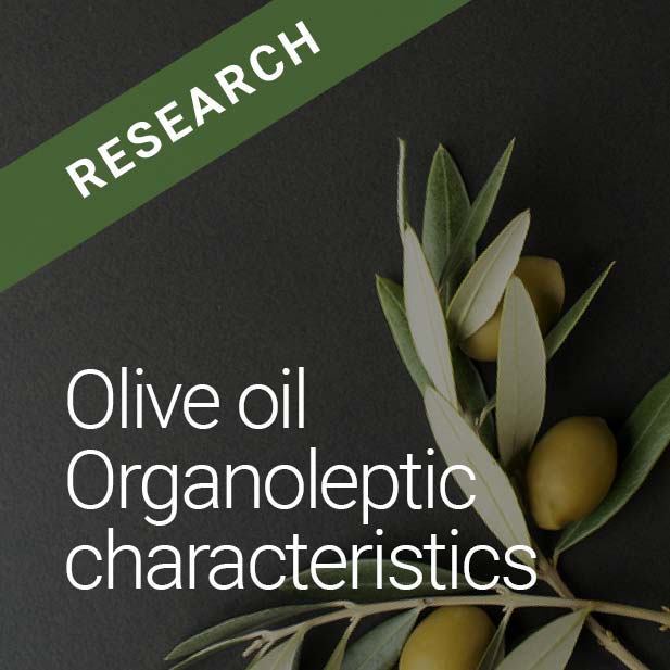 Organoleptic-characteristics_Featured