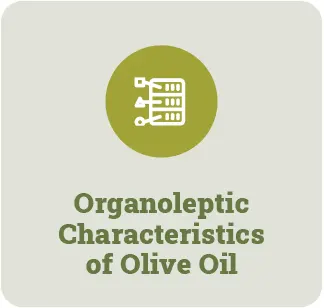 Organoleptic Characteristics of Olive Oil Olive Epitome